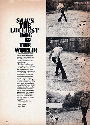 Flip Magazine July 1971