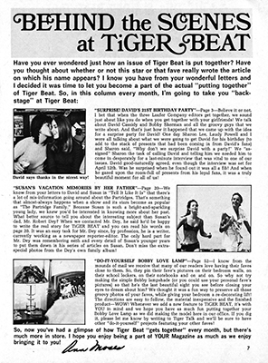 Tiger Beat July 1971