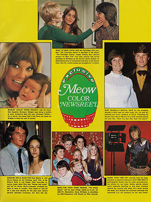 Tiger Beat July 1971