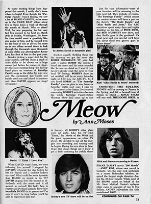 Tiger Beat June 1971