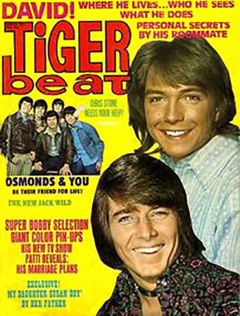 Tiger Beat 