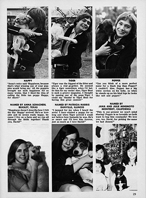 Tiger Beat March 1971