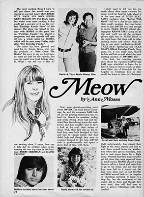 Tiger Beat March 1971