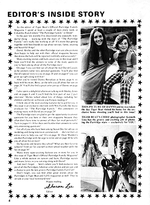 Tiger Beats Official Partridge Family Magazine - March 1971