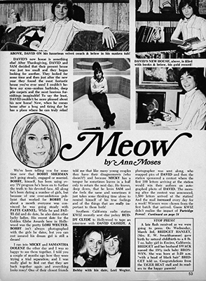 Tiger Beat May 1971