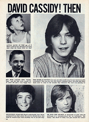 Tiger Beats Official Partridge Family Magazine - November 1971