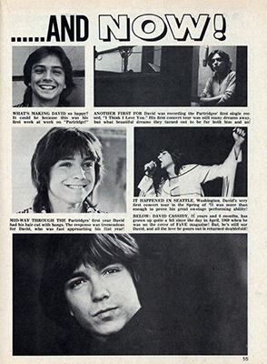 Tiger Beats Official Partridge Family Magazine - November 1971