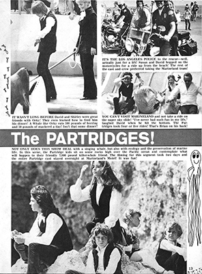 Tiger Beats Official Partridge Family Magazine - October 1971