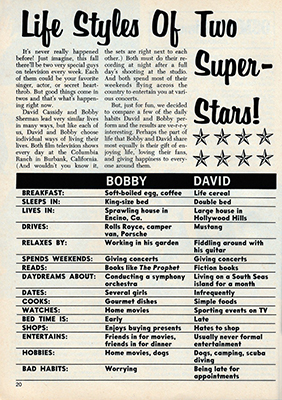 Tiger Beat Super Annual September 1971