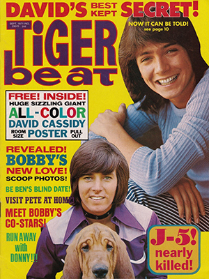 Tiger Beat Sept 1971