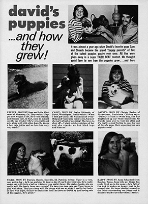 Tiger Beat Sept 1971