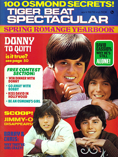 Tiger Beat Spectacular Magazine