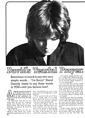 Tiger Beats Official Partridge Family Magazine - April 1972