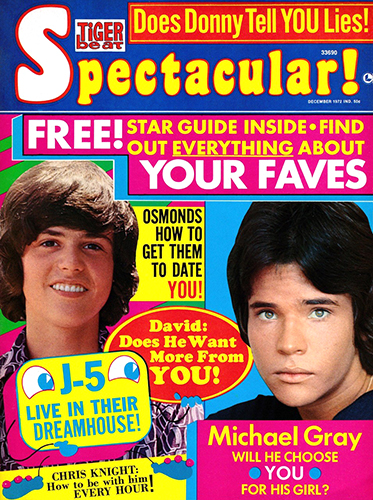 Tiger Beat Spectacular Magazine