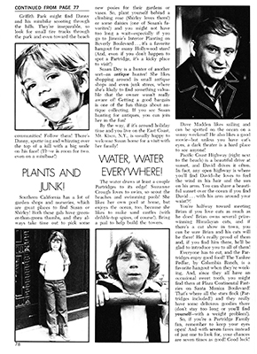 Tiger Beats Official Partridge Family Magazine - August 1972