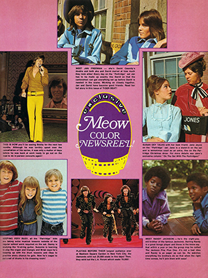 Tiger Beat February 1972