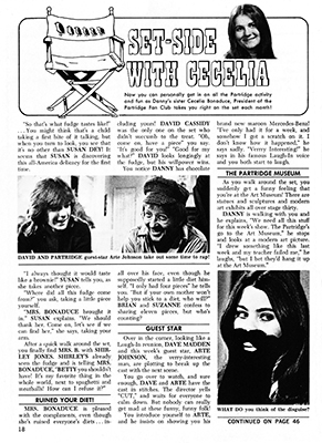 Tiger Beats Official Partridge Family Magazine - February 1972