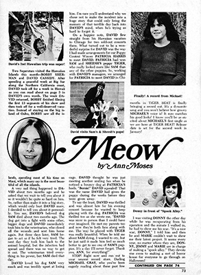 Tiger Beat January 1972