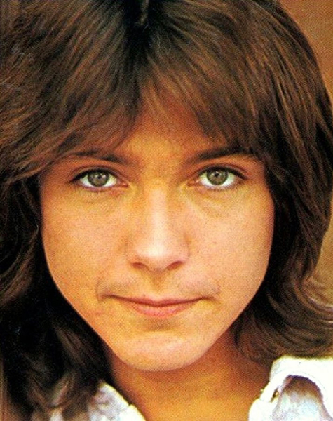 July 1972 Tiger Beat Love Posters Quarterly Magazine