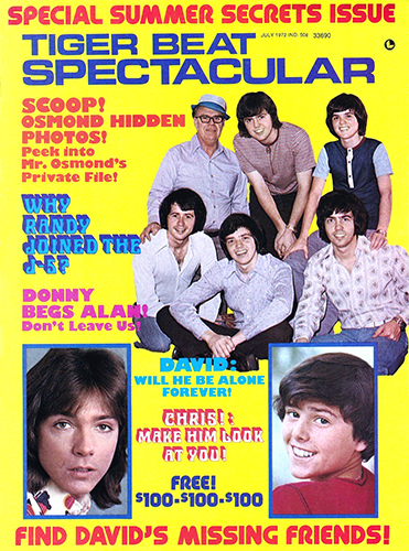 Tiger Beat Spectacular Magazine