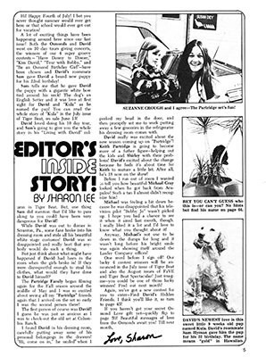 Tiger Beat Spectacular July 1972