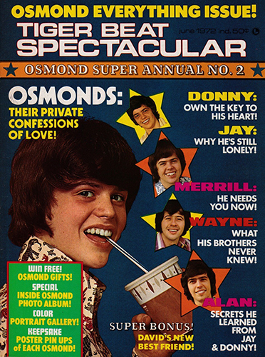 Tiger Beat Spectacular Magazine