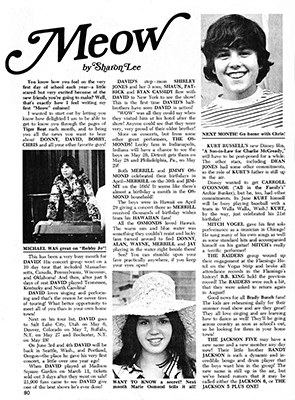 Tiger Beat June 1972