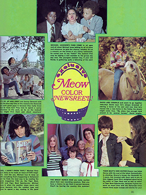 Tiger Beat June 1972