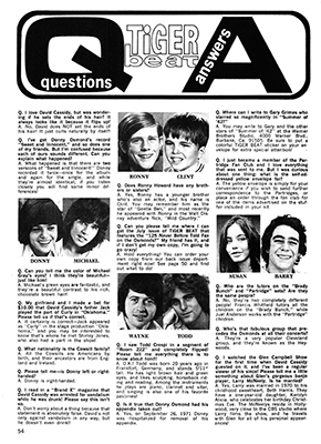 Tiger Beat March 1972