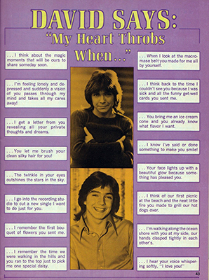 Tiger Beats Official Partridge Family Magazine - May 1972