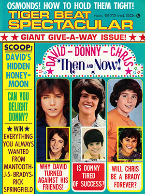 Tiger Beat Spectacular November 1972