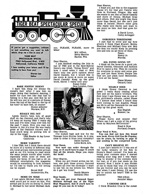 Tiger Beat Spectacular November 1972