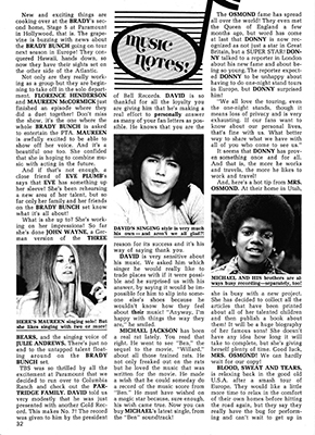 Tiger Beat Spectacular November 1972