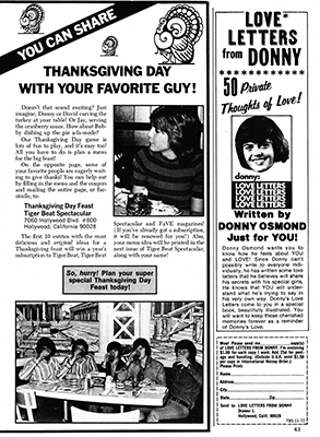 Tiger Beat Spectacular November 1972