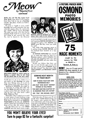 Tiger Beat October 1972