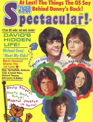 Tiger Beat Spectacular Magazine