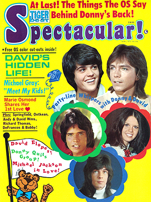 Tiger Beat Spectacular April 1973