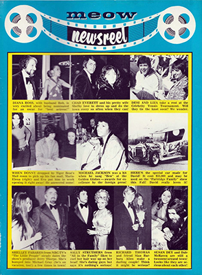 Tiger Beat April 1973