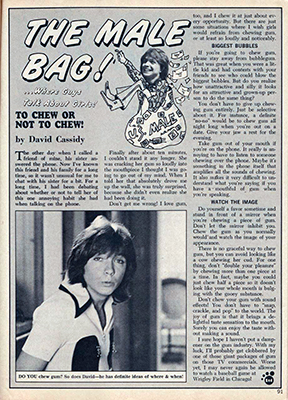 Tiger Beat August 1973