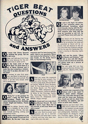 Tiger Beat August 1973