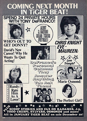 Tiger Beat December 1973