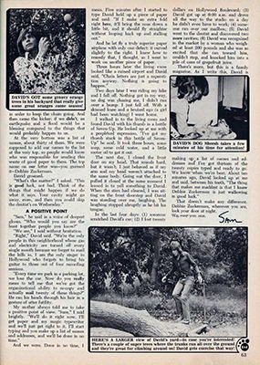 Tiger Beat December 1973