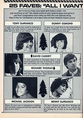 Tiger Beat December 1973