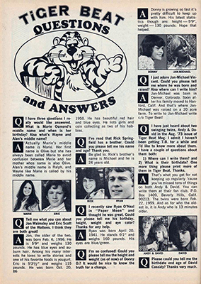 Tiger Beat December 1973