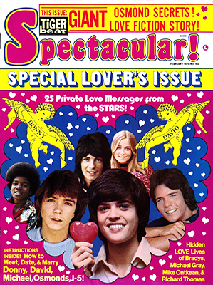 Tiger Beat Spectacular February 1973