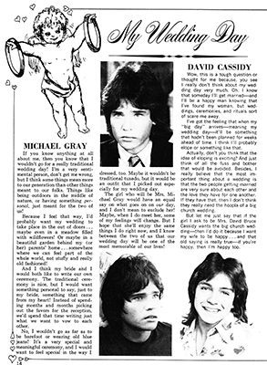 Tiger Beat Spectacular February 1973