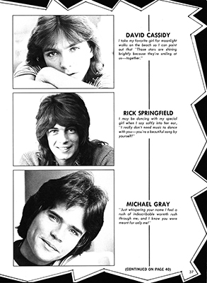 Tiger Beat Spectacular February 1973
