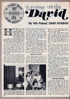 Tiger Beat February 1973