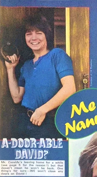 January 20, 1973 Fabulous 208 magazine