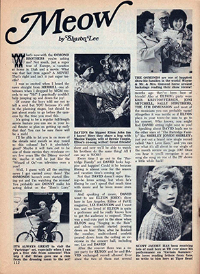 Tiger Beat January 1973